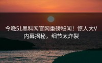 今晚51黑科网官网重磅秘闻！惊人大V内幕揭秘，细节太炸裂