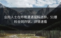 业内人士在昨晚遭遇猛料迷醉，51爆料全网炸锅，详情速看