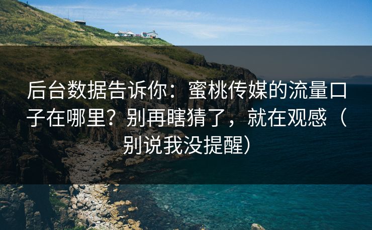 后台数据告诉你：蜜桃传媒的流量口子在哪里？别再瞎猜了，就在观感（别说我没提醒）